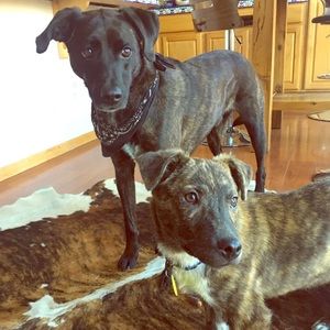 Meet your Posher, Tiff